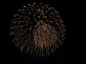 candayfirework-1.jpg