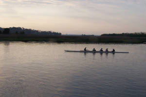 rowers-1.jpg