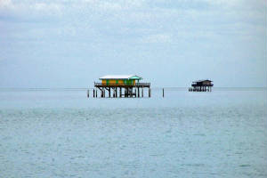 stiltsville-1.jpg